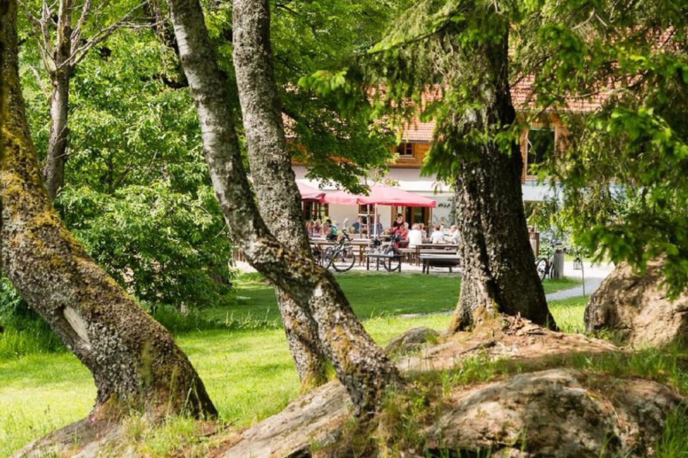 Apartment Gutsalm Harlachberg