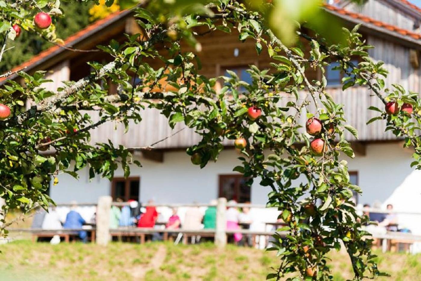 Gutsalm Harlachberg Bodenmais