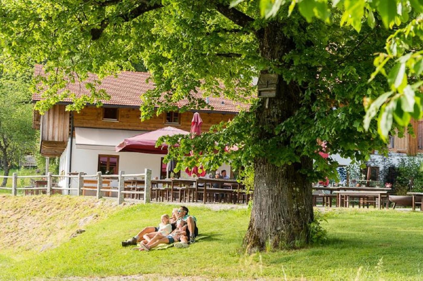 Gutsalm Harlachberg Apartment
