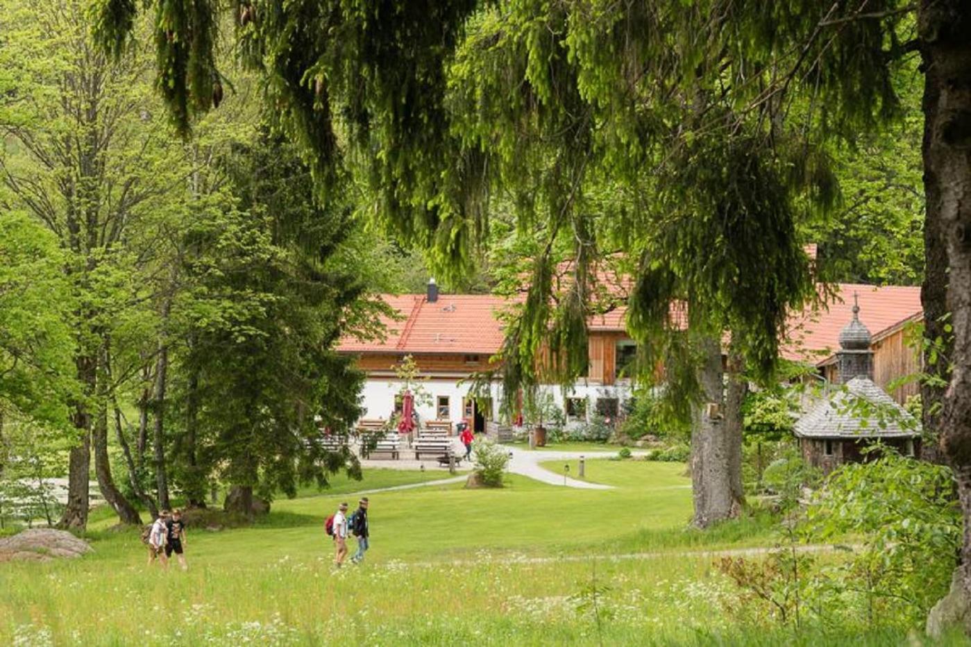 Gutsalm Harlachberg *